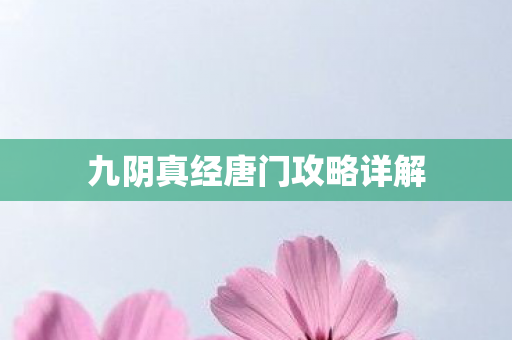 九阴真经唐门攻略详解