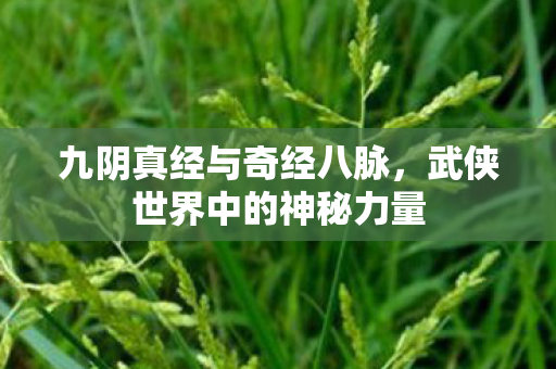九阴真经与奇经八脉，武侠世界中的神秘力量