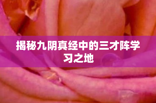揭秘九阴真经中的三才阵学习之地 揭秘九阴真经中的三才阵学习之地