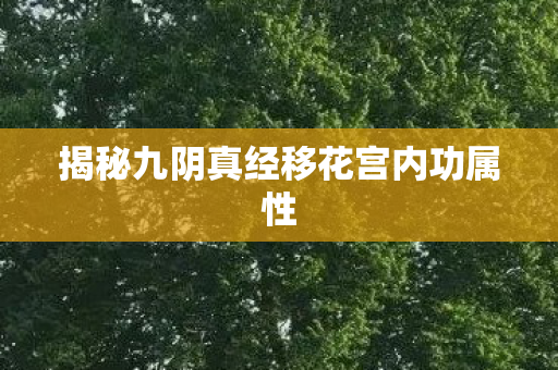 揭秘九阴真经移花宫内功属性
