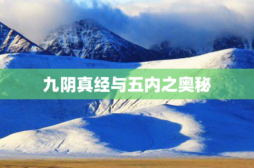 九阴真经与五内之奥秘