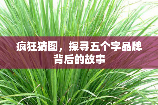 疯狂猜图，探寻五个字品牌背后的故事