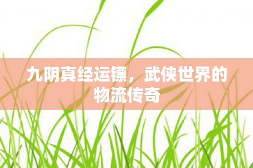 九阴真经运镖,武侠世界的物流传奇 九阴真经运镖,武侠世界的物流传奇