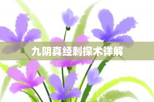 九阴真经刺探术详解