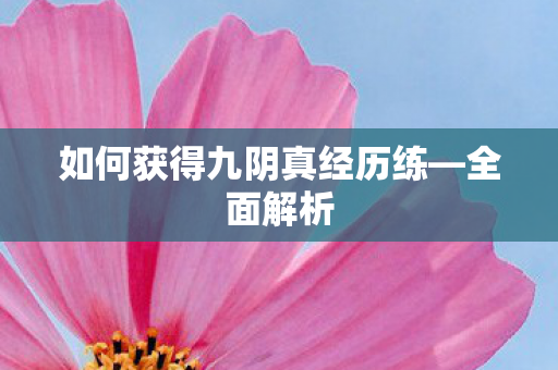 如何获得九阴真经历练—全面解析