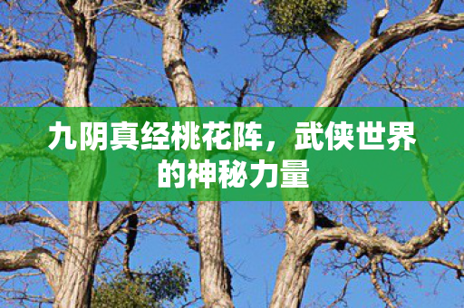 九阴真经桃花阵，武侠世界的神秘力量