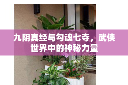 九阴真经与勾魂七夺，武侠世界中的神秘力量
