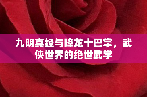 九阴真经与降龙十巴掌，武侠世界的绝世武学