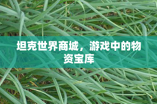 坦克世界商城，游戏中的物资宝库
