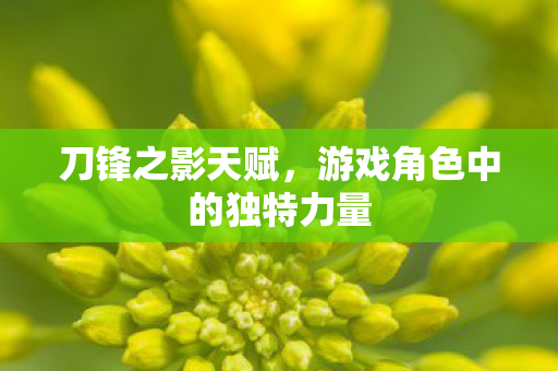 刀锋之影天赋，游戏角色中的独特力量