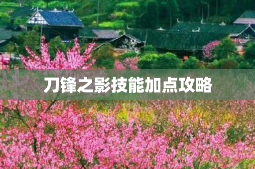 刀锋之影技能加点攻略