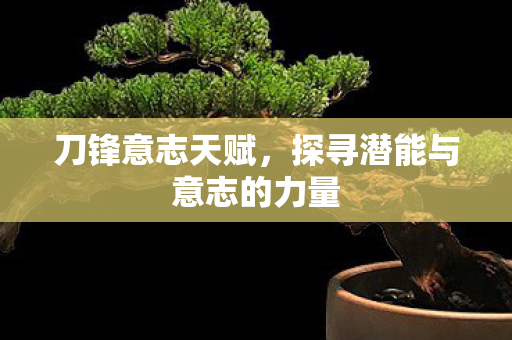 刀锋意志天赋，探寻潜能与意志的力量