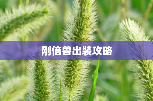 刚倍兽出装攻略