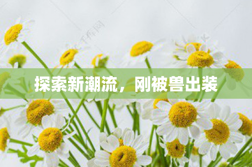 探索新潮流，刚被兽出装