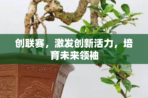 创联赛,激发创新活力,培育未来领袖 创联赛,激发创新活力,培育未来领袖