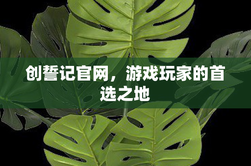 创誓记官网,游戏玩家的首选之地 创誓记官网,游戏玩家的首选之地