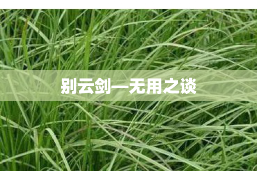 别云剑—无用之谈