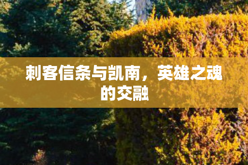 刺客信条与凯南，英雄之魂的交融