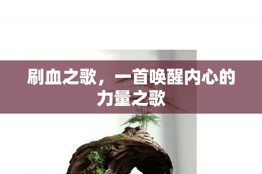 刷血之歌，一首唤醒内心的力量之歌