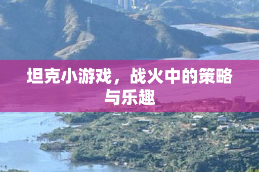 坦克小游戏，战火中的策略与乐趣