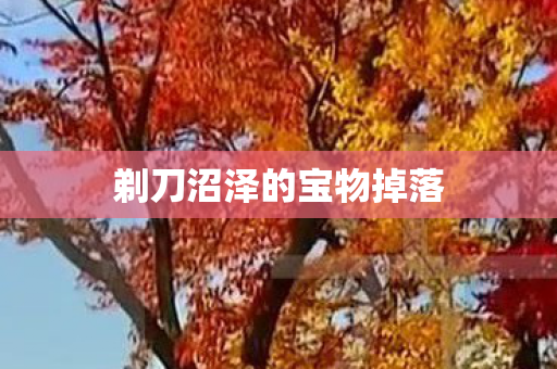 剃刀沼泽的宝物掉落 剃刀沼泽的宝物掉落