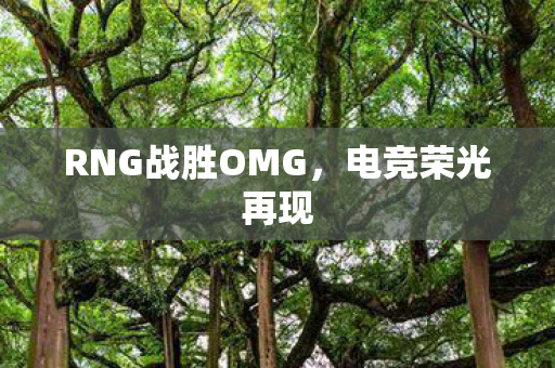 RNG战胜OMG，电竞荣光再现