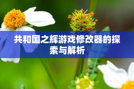 共和国之辉游戏修改器的探索与解析