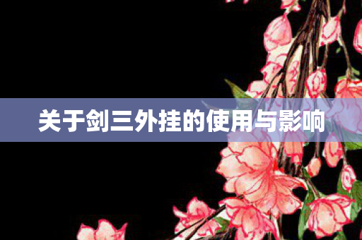 关于剑三外挂的使用与影响