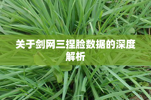 关于剑网三捏脸数据的深度解析