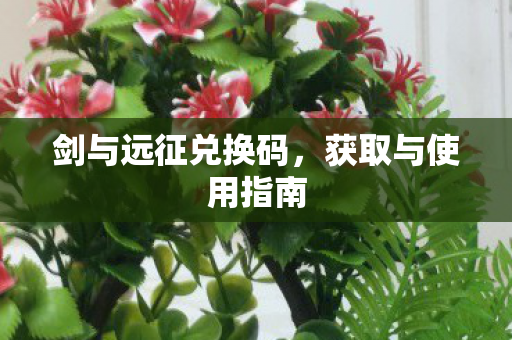 剑与远征兑换码，获取与使用指南
