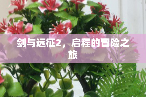 剑与远征2，启程的冒险之旅