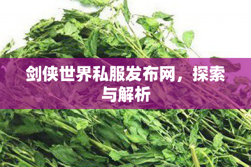 剑侠世界私服发布网,探索与解析 剑侠世界私服发布网,探索与解析