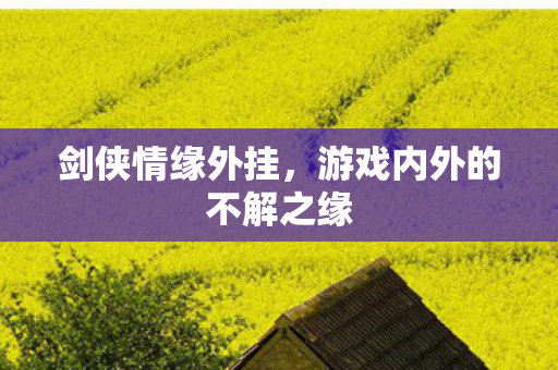 剑侠情缘外挂,游戏内外的不解之缘 剑侠情缘外挂,游戏内外的不解之缘