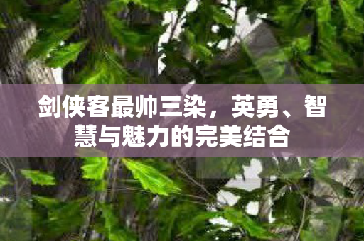 剑侠客最帅三染，英勇、智慧与魅力的完美结合