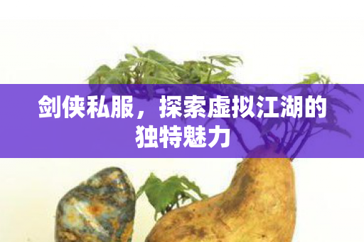 剑侠私服,探索虚拟江湖的独特魅力 剑侠私服,探索虚拟江湖的独特魅力