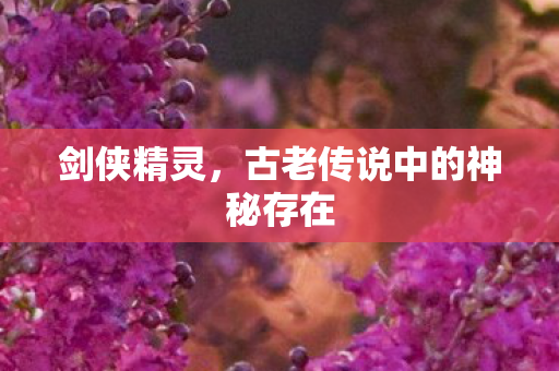 剑侠精灵，古老传说中的神秘存在