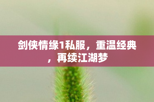 剑侠情缘1私服，重温经典，再续江湖梦