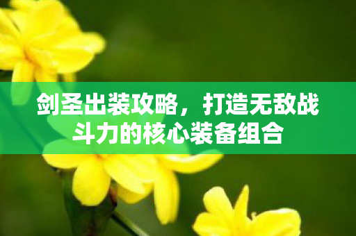 剑圣出装攻略，打造无敌战斗力的核心装备组合