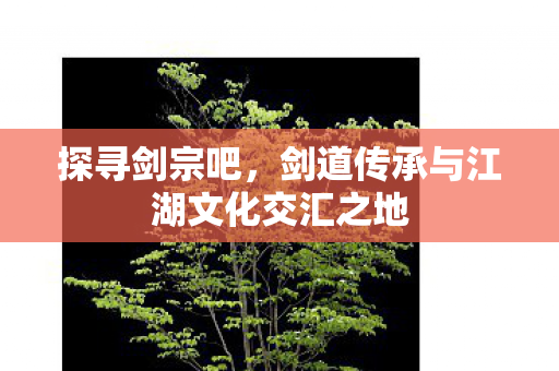 探寻剑宗吧，剑道传承与江湖文化交汇之地