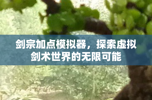 剑宗加点模拟器，探索虚拟剑术世界的无限可能