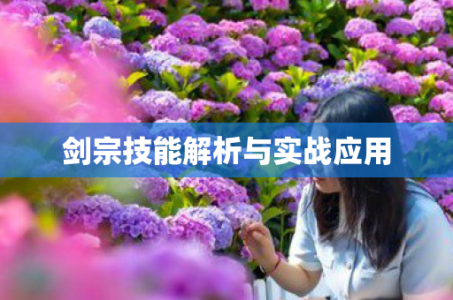 剑宗技能解析与实战应用 剑宗技能解析与实战应用