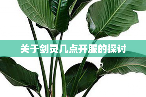 关于剑灵几点开服的探讨