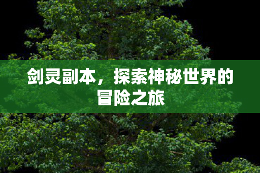 剑灵副本，探索神秘世界的冒险之旅