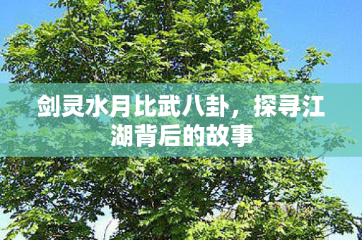 剑灵水月比武八卦，探寻江湖背后的故事