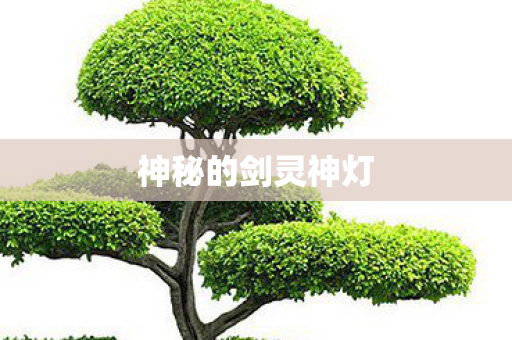 神秘的剑灵神灯