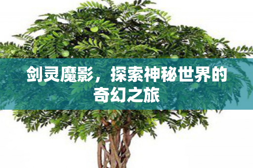 剑灵魔影，探索神秘世界的奇幻之旅