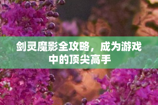 剑灵魔影全攻略，成为游戏中的顶尖高手