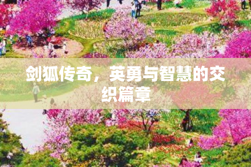 剑狐传奇，英勇与智慧的交织篇章