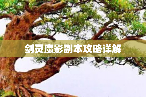 剑灵魔影副本攻略详解