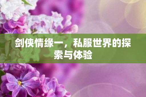 剑侠情缘一，私服世界的探索与体验